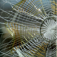 Flower Web