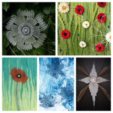 Greeting card - 5 pack
