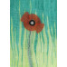 Greeting card - 5 pack