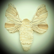 Greeting Card - Bombyx Mori
