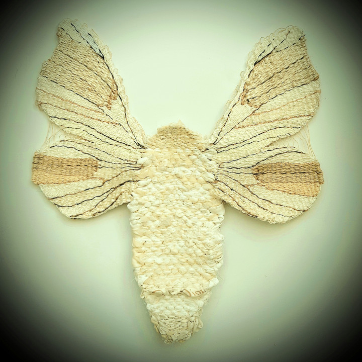 Greeting Card - Bombyx Mori