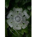Greeting card - 5 pack