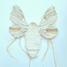 Greeting Card - Silk Moth