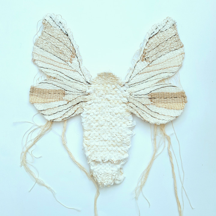 Greeting Card - Silk Moth