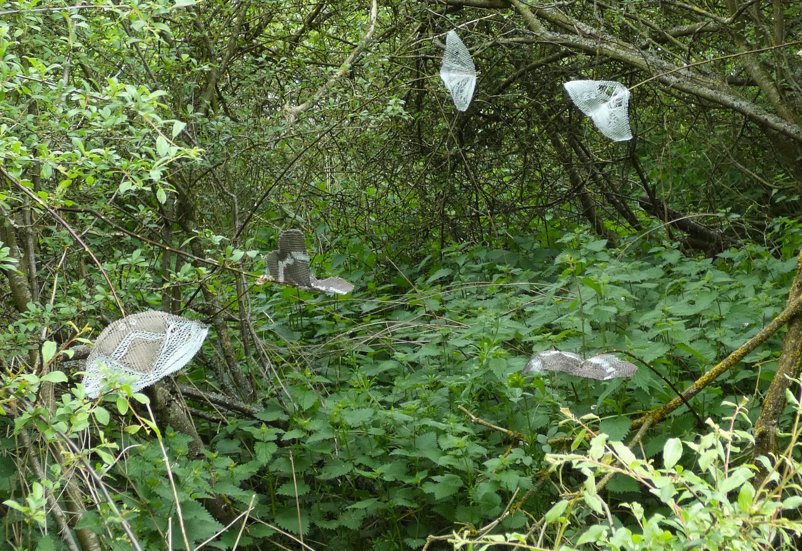 Lucy Sugden Purple Emperor and white admiral inspired butterflies w