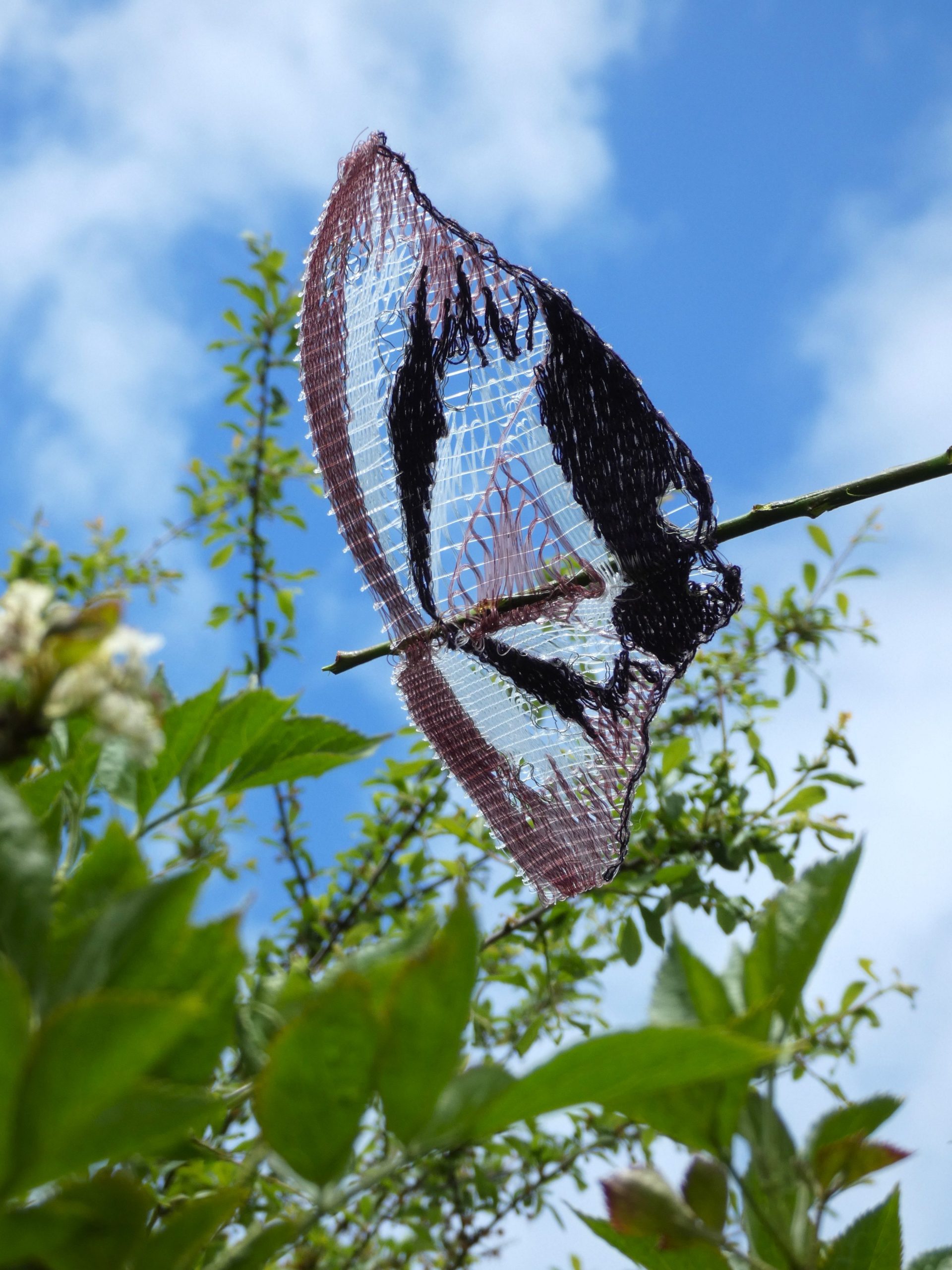 Lucy Sugden Purple Emperor inspired butterfly w