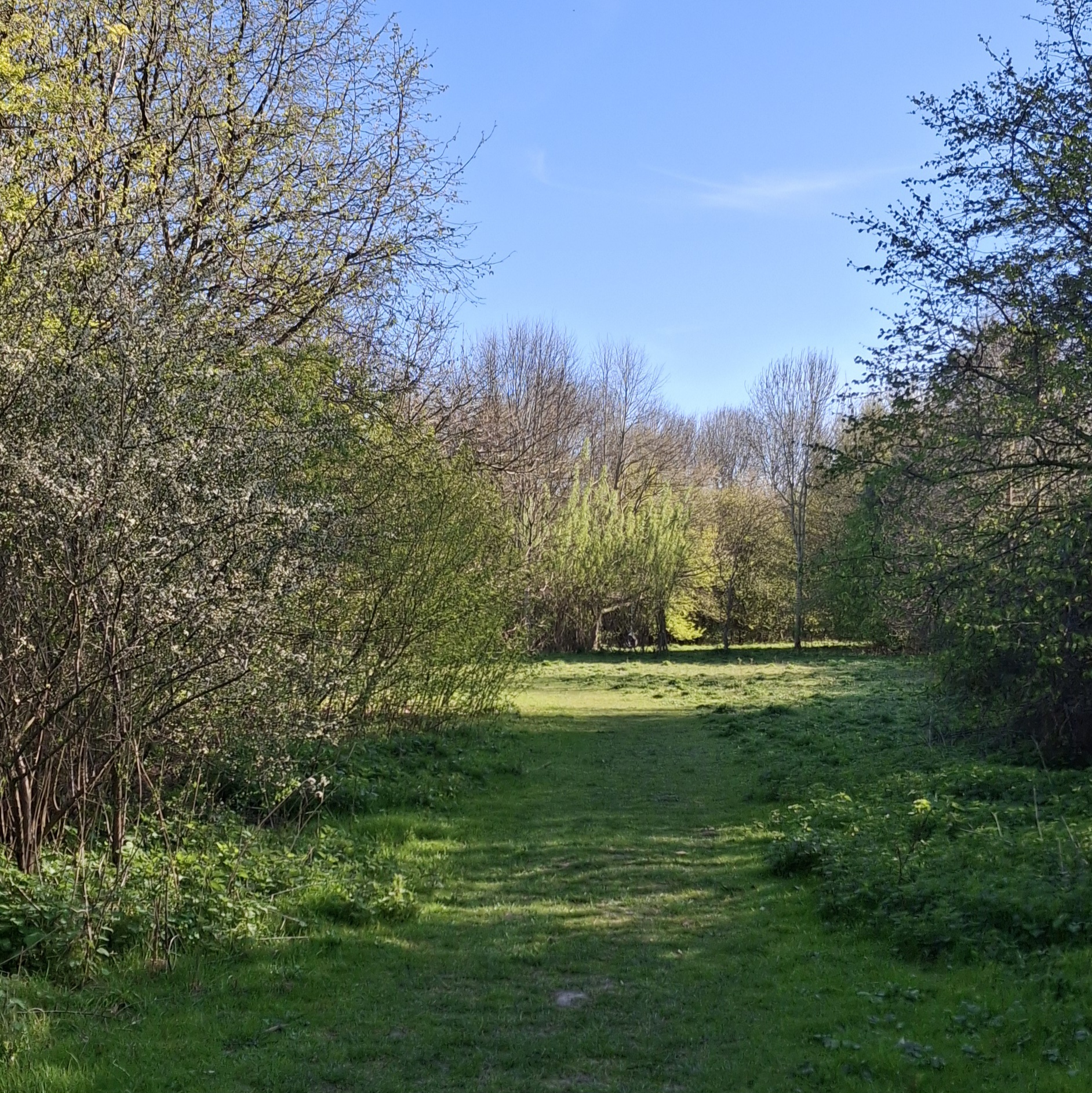 Sun-dappled grassy path at Radwell Meadows Letchworth, the location for the Wander and Weave mindful weaving workshop.
