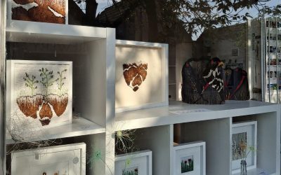 Wynd Gallery Featured Artist